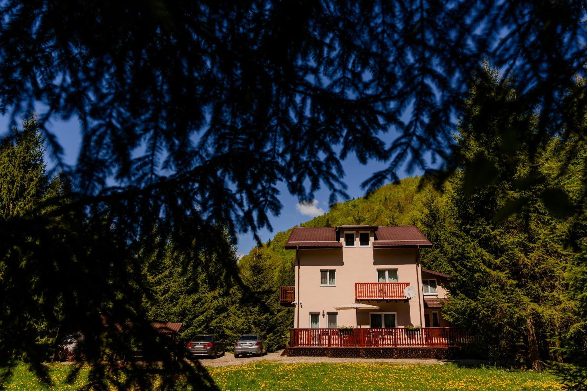 Cabana Zip Zărneşti Εξωτερικό φωτογραφία